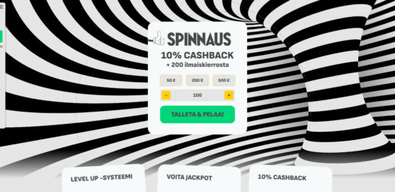 spinnaus kokemuksia
