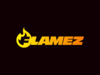 flamez logo